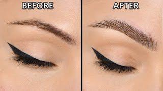 HOW I MADE MY BROWS LOOK THICKER AND FULLER 