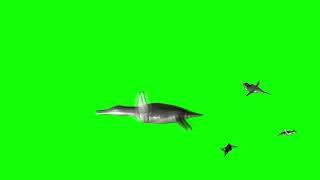 Rare Marine Dinosaur Animation Green Screen Clips