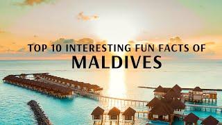 Top 10 Interesting Fun Facts of Maldives With Flamingo Transworld