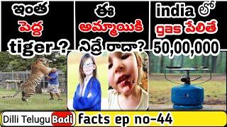 Top intresting facts in telugu//amazingfacts//dillitelugubadi//telugufacts//unknownfacts//facts//