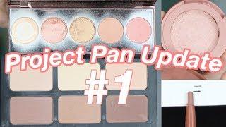 PROJECT PAN UPDATE// Trying To Finish These Products in 2020!