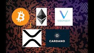 Top 11 coins by end of 2021 -- My predictions