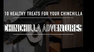 Top 10 Healthy Treats for Your Chinchilla!