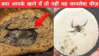 Top 10 Disgusting Thing Found In Your Favorite Fast Foods | Random Facts In Hindi