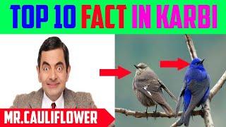 Top 10 Fact in Karbi | Karbi Knowledge Video 2020| Karbi Video|