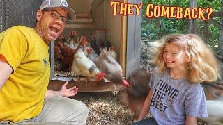 We Left The Chickens Locked Up For Days, Did It Work?? 