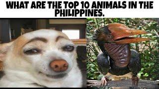 top 10 most popular animals in the philippines