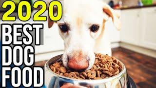 BEST DOG FOOD 2020 - Top 10