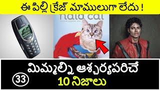 Top 10 Unknown Facts in Telugu | Interesting and Amazing Facts | Part 33 | Minute Stuff