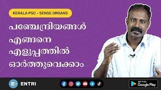 പഞ്ചേന്ദ്രിയങ്ങൾ - Sense Organs -  Kerala PSC CPO, Fireman, LDC, LGS