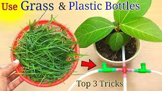 How to easily make Self watering system for plants using waste plastic bottle