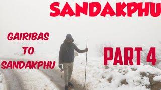 Sandakphu Travel Guide | Trekking | Trip | Top 10 Snowfall Place | Hindi (Part 4)