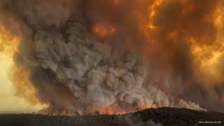 Australia Wildfires Explained | The huge size and why the fires are happening