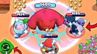 *WOW* BEAR GADGET IS TOO OP ! Brawl Stars Wins & Fails #138