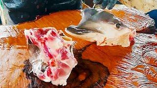 Have You Ever Seen ? | Cutting Ray Fish Head Like Beef Meat | Stingray Fish Cutting Skill