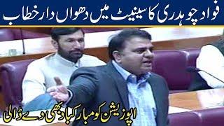 Fawad Chaudhry Aggressive Speech in Senate | 1 Jan 2020