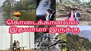 Kodaikanal vlog||tamil|| Kodaikanal tourist placel||Best place||top 10 place in Kodaikanal||