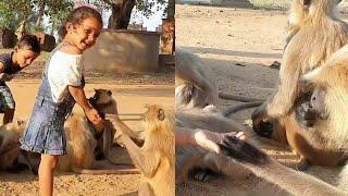 मां अपने बच्चों को जानवरों की सेवा के लिए सिखाती है||Mother teaches her children to serve animals