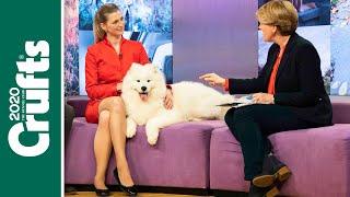 Our favourite moments from Crufts on Channel 4!