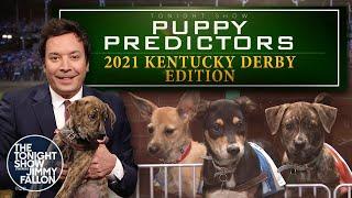 Puppies Predict the 2021 Kentucky Derby | The Tonight Show Starring Jimmy Fallon