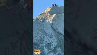 these guy are too top