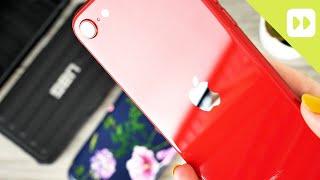 Best iPhone SE Cases