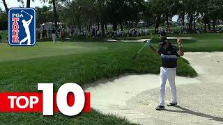 Top-10 all-time shots from the Valspar Championship