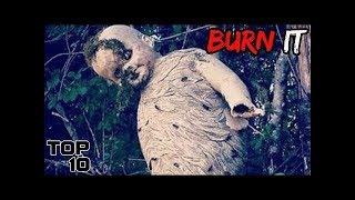 Top 10 Scary Wasp Nests That Need To Be Destroyed - Part 2