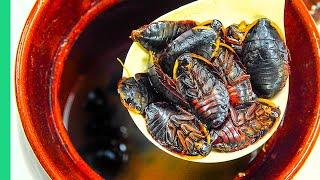 Chinese Cockroach Soup!! Exotic Food Tour in Hong Kong!!!