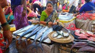 मुंबई के Top 3 बडे फिश मार्केट | Mumbai Top 3 Fish Market