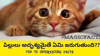 Nasa's Laser Communications system | Top 10 INTERESTING FACTS IN TELUGU BY MAGIC FACTS | Hypotheticl