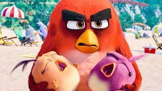 THE ANGRY BIRDS MOVIE 2 - First 10 Minutes From The Movie (2019)