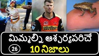 Top 10 Unknown Facts in Telugu | Interesting and Amazing Facts | Part 26 | Minute Stuff