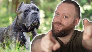 What's the BEST Guard Dog Breed FOR YOU! #10