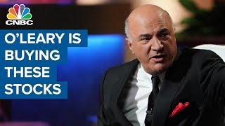 Why Kevin O'Leary is buying more amid a possible market correction