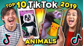 College Kids React To Top 10 Viral TikToks of 2019: Pet & Animal Videos