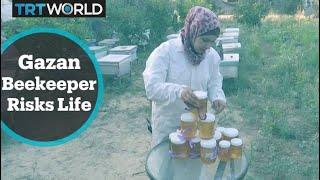 Israel-Palestine Tensions: Gaza beekeeper risks life to continue her father's work