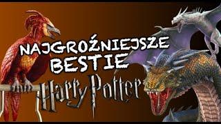 TOP 10 najpotężniejszych MAGICZNYCH STWORZEŃ ze świata POTTERA