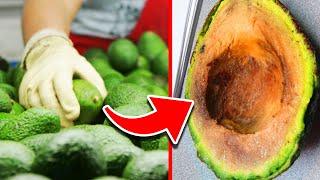 Top 10 Foods That Expire FAST