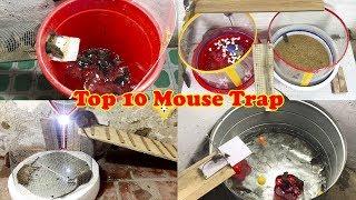 Top 10 Idea Mouse Trap 