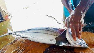 Skipjack Tuna Cutting | Fish Cutting Skills