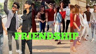 Friendship Tik Tok video 