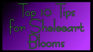 #32 - Top 10 Tips for Sheleeart Blooms - Rain & Pours