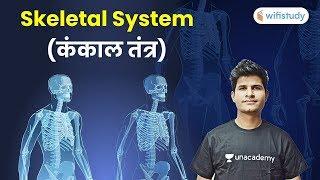 12:00 PM - Human Skeletal System | Bones, Anatomy and Physiology by Neeraj Sir