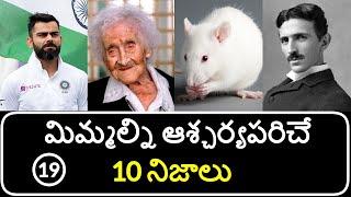 Top 10 Unknown Facts in Telugu | Interesting and Amazing Facts | Part 19 | Minute Stuff