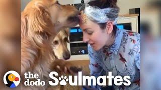 This Woman Put Peanut Butter on Her Head to Trim Her Golden Retriever's Nails | The Dodo Soulmates