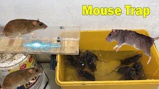 MICE & WATER | Piège à souris Top 10  - Piège à souris électrique - Comment faire un piège à rat #2