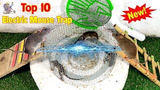 Top 10 Electric Mouse Trap Water 