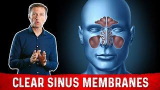 Best Nutrients for Sinus Membranes