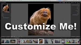 Customizing Lightroom Classic